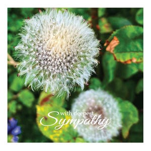 Sympathy Cards and Prints (code 11A)