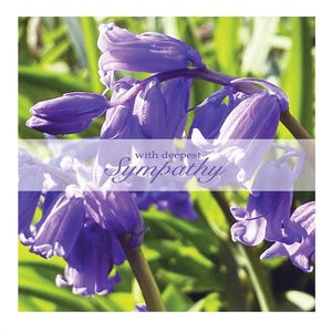 Sympathy Cards and Prints (code 4A)