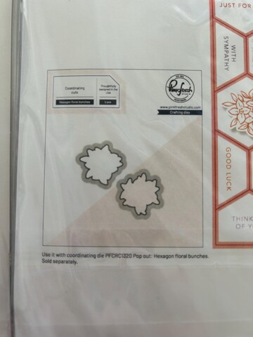 stamps and die combo - PinkFresh Studio Pop-out Hexagons stamp with coordinating Simply Hexagons die - GR01 D107