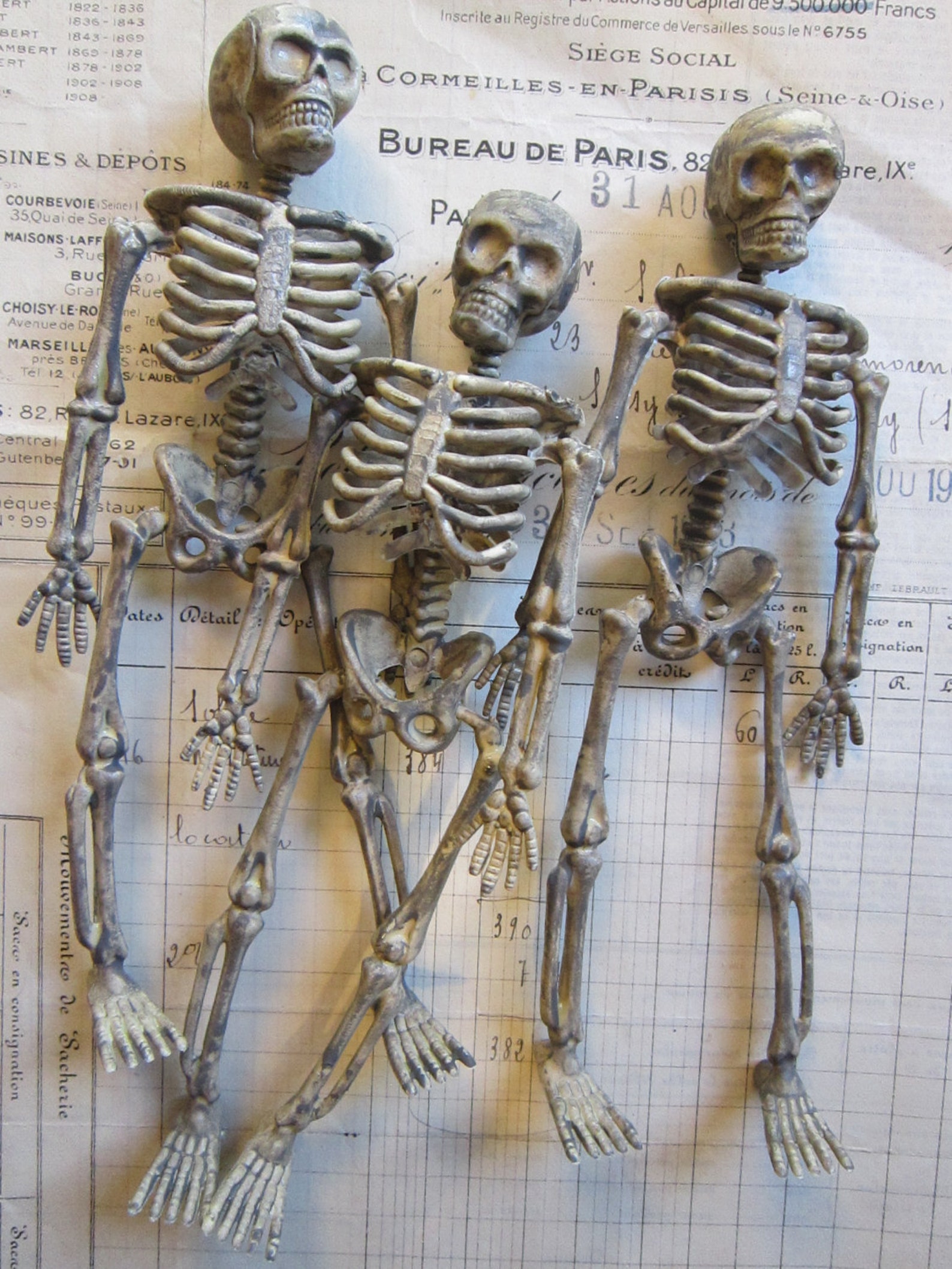 3 plastic skeletons miniature skeletons 6 inches tall Etsy