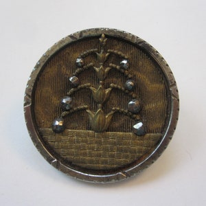 antique picture button - 1.25 inch bi-metal button with steel cup and cut steels, botanical, tree, corn plant picture button