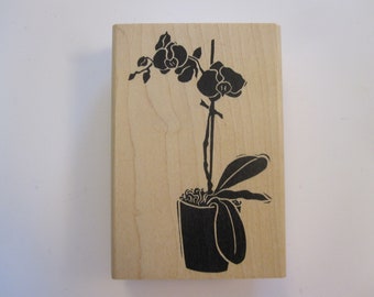 rubber stamp - ORCHID flower stamp - A Stamp In the Hand Co 2004 - K-2093 Orchid-Moth - D18