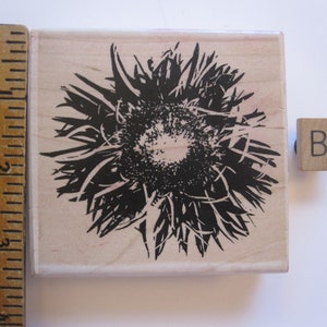 sea grass stamp DH22 YOUR CHOICE used rubber stamps flower stamp rubber stamp