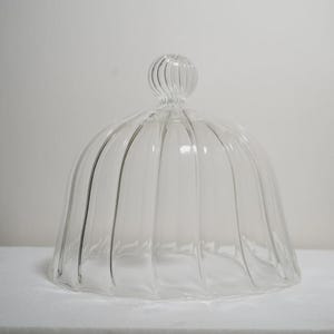 Mundgeblasene Glas Torte: Gerippte Borosilikat Cloche