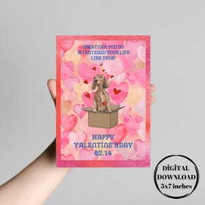 Valentinstag Geschenkkarte, süsser Hund Geschenkkarte, herzliche Liebeskarte, Xoxo, Geschenk für Frau, Geschenk für Freundin, Geschenk für Frau, was können Sie tun