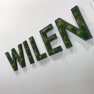 Custom Logo Moss Sign, Business Logo Sign, Personalized Office Sign, Green Wall Decor, Custom Name Sign, Company Custom Sign, Backlit Sign