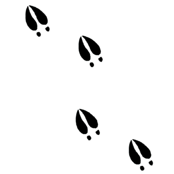 Deer Tracks - Etsy