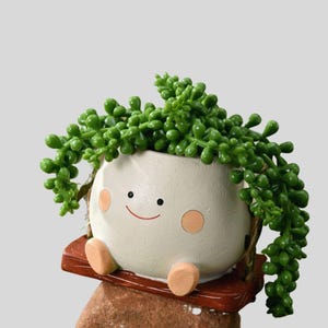 Może przedstawiać: Kapryśna, kremowa ceramiczna doniczka z uśmiechniętą twarzą, brzoskwiniowymi policzkami i małymi stopami. Zawiera zwisającą zieloną roślinę sukulentową. Doniczka stoi na brązowej drewnianej podstawie.