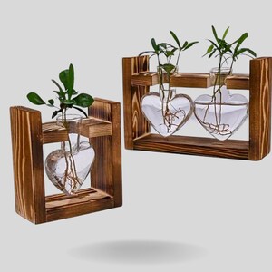 Luftpflanzenterrarium mit Holzständer Herzvase - Niedliche & Minimalistische Pflanzenvermehrungsstation