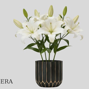 Könnte beinhalten: Ein Strauß weißer Lilien in einem dekorativen Topf in Schwarz und Gold. Die Lilien haben große, offene weiße Blütenblätter und grüne Blätter. Der Topf ist zylindrisch mit vertikalen goldenen Akzenten. Der Text "EVSERA" befindet sich unten links.