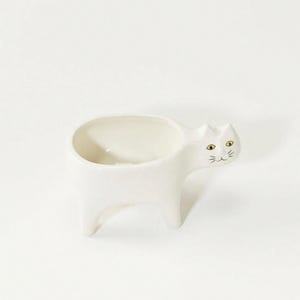 Adorable maceta de cerámica con forma de cola de gato para suculentas: maceta con forma de animal de dibujos animados