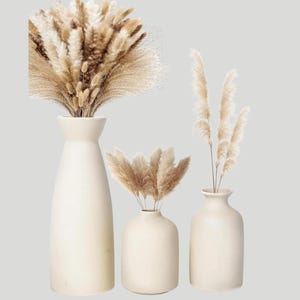 Könnte beinhalten: Drei cremefarbene Keramikvasen unterschiedlicher Größe, jede mit getrockneten Pampasgrasbüscheln gefüllt. Die Vasen haben eine glatte, matte Oberfläche und sind vor einem neutralen Hintergrund angeordnet, was eine minimalistische, natürliche Ästhetik schafft.