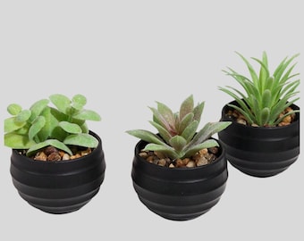 Mini Faux Succulents: Set of 3, Matte Black Pots, Modern Decor
