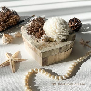 Può includere: Una scatola di legno a forma di cuore che misura 10 x 8 x 4 cm, decorata con un fiore di legno sola bianco, muschio marrone e una piccola conchiglia. La scatola è circondata da una stella marina, una collana di perle e altre conchiglie.