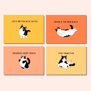 Ensemble de cartes postales chat avec citations de chat amusantes Gardez votre calme animal de compagnie a chat La vie est meilleure avec des chats Cartes illustrées pour les amoureux des chats Papeterie