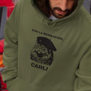 Princess Donut Hoodie, Dungeon Crawler Carl Sweatshirt, Viva La Revolución Cat, Gildan Heavy Blend, Princess Posse, LitRPG Fan Hoodie Gift