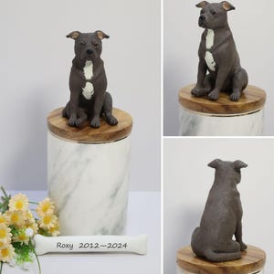 May include: A ceramic figurine of a gray and white pit bull dog sitting on a wooden base. The figurine is on top of a white marble urn with a bone inscribed with "Roxy 2012-2024".