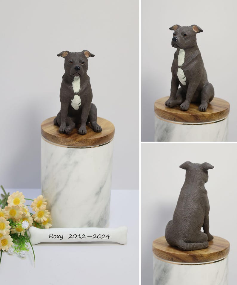 May include: A ceramic figurine of a gray and white pit bull dog sitting on a wooden base. The figurine is on top of a white marble urn with a bone inscribed with "Roxy 2012-2024".