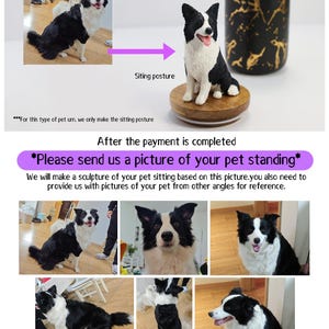 May include: A black and white border collie dog sitting on a wooden base. The dog is wearing a collar and has a happy expression. The dog is being used as a model for a custom pet urn. The text "After the payment is completed *Please send us a picture of your pet standing*" is displayed below the image.