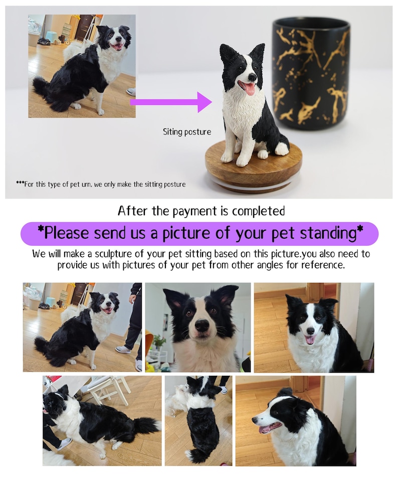May include: A black and white border collie dog sitting on a wooden base. The dog is wearing a collar and has a happy expression. The dog is being used as a model for a custom pet urn. The text "After the payment is completed *Please send us a picture of your pet standing*" is displayed below the image.