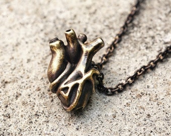 anatomic heart solid brass necklace