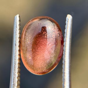 May include: A translucent, oval-shaped gemstone held by silver tweezers. The gem has a gradient of colors, transitioning from a reddish-brown to a lighter, golden hue. Tiny inclusions are visible within the stone, adding texture. The background is blurred.