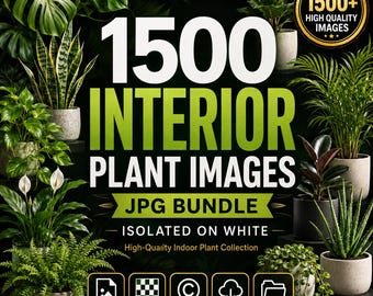 1500 Interior Plant Images JPG Bundle, Isolated Houseplant Stock Photos, 300 DPI