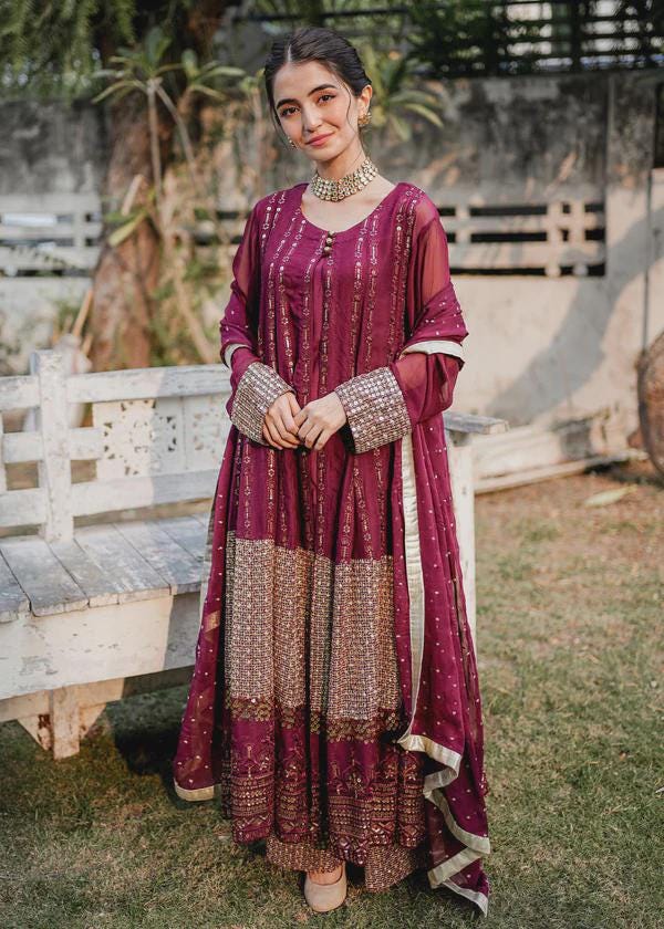 Chikankari Embellished Pakistani Gown Dress: Raw Silk Trousers & Chiffon Dupatta