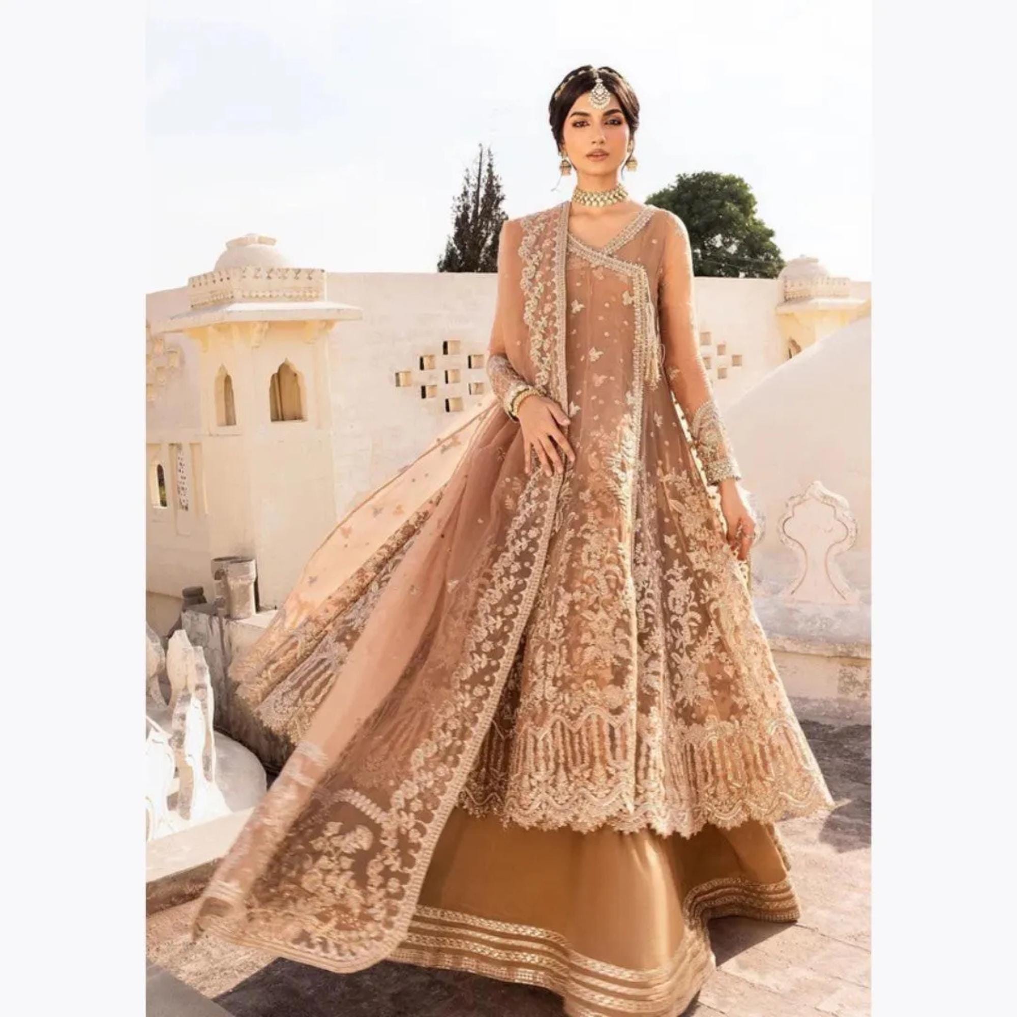 Champagne Pakistani Wedding Dress - Etsy