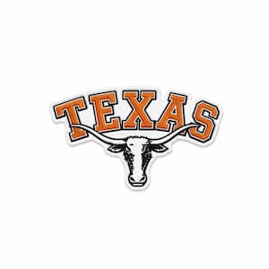 May include: An embroidered patch featuring the word TEXAS in orange block letters with a black outline. Below the text is a black and white longhorn steer head illustration with long, curved horns that extend outward beneath the letters.