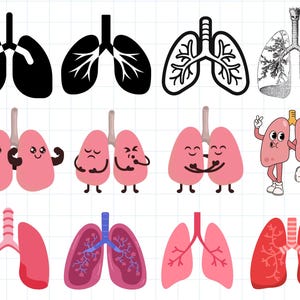 Puede incluir: Un conjunto de 10 ilustraciones de pulmones humanos en varios estilos. Algunos son simples contornos, otros son más detallados y algunos son personajes de dibujos animados con caras y brazos. Los pulmones son todos rosados o rojos, excepto un conjunto que es negro.