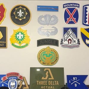 May include: A collection of various military-style wall plaques and patches featuring diverse emblems, including the 1st Cavalry Division, 10th Mountain Division, and others with text like 'JUNGLE', 'THREE DELTA ACTUAL', and 'PRO PATRIA'.