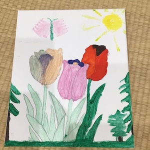 Tulip