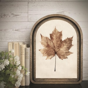 May include: A brown maple leaf illustration centered inside an arched wooden frame. The leaf displays detailed veins and a dried texture against a cream-colored background. The frame has a smooth, dark wood finish with a rounded top edge.