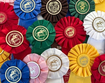 Vintage 90s-00s 12" Long Satin Prize Rosette Ribbons / 1990s-Early 2000s y2k Equestrian Horseback Riding + Pony Show Awards