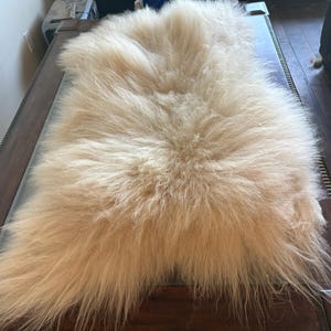 May include: A beige, fluffy sheepskin rug. The rug has long, soft fibers and a natural, irregular shape. It is placed on a dark wooden surface, creating a contrast in textures and colors. The rug appears to be a cozy and decorative item.