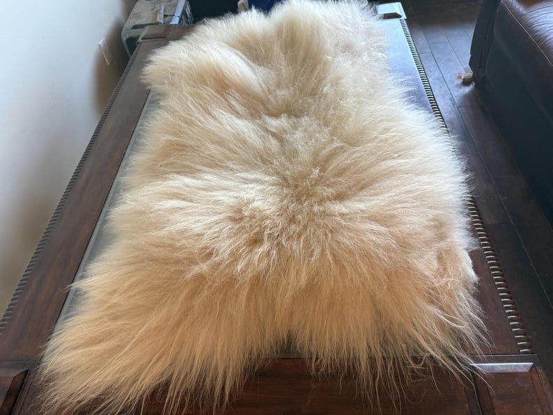 May include: A beige, fluffy sheepskin rug. The rug has long, soft fibers and a natural, irregular shape. It is placed on a dark wooden surface, creating a contrast in textures and colors. The rug appears to be a cozy and decorative item.