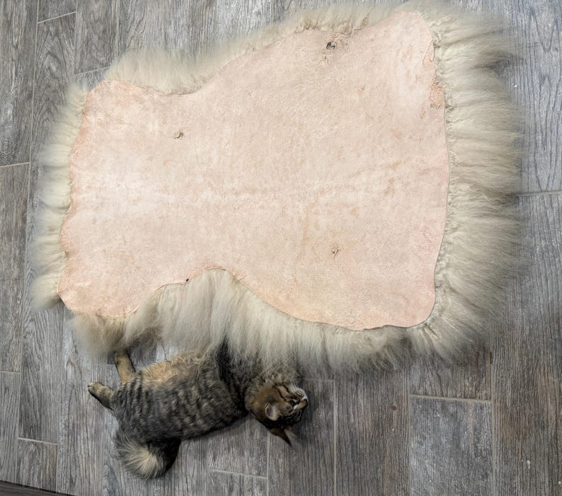 May include: A cream-colored sheepskin rug with a light pink center and long, fluffy edges. A tabby cat is lying on the wooden floor next to the rug. The rug is a natural, rustic home decor item.