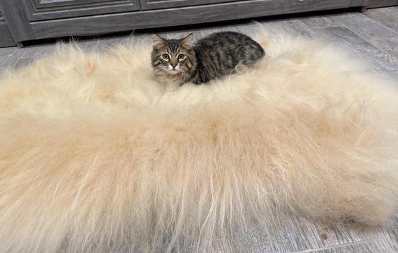 Icelandic Lamb Wool Hide Sheepskin Rug Pet Bed