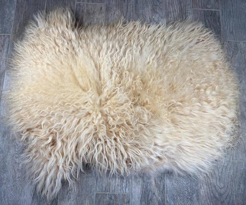May include: A cream-colored, sheepskin rug with long, curly wool fibers. The rug has an irregular shape and is placed on a gray wooden floor. The wool fibers are dense and create a soft, textured appearance.
