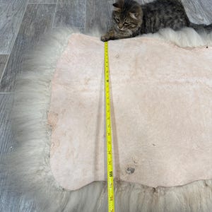 May include: A light beige sheepskin rug with a fluffy, off-white border. A yellow measuring tape is laid across the rug. A small, tabby cat is resting on the rug.