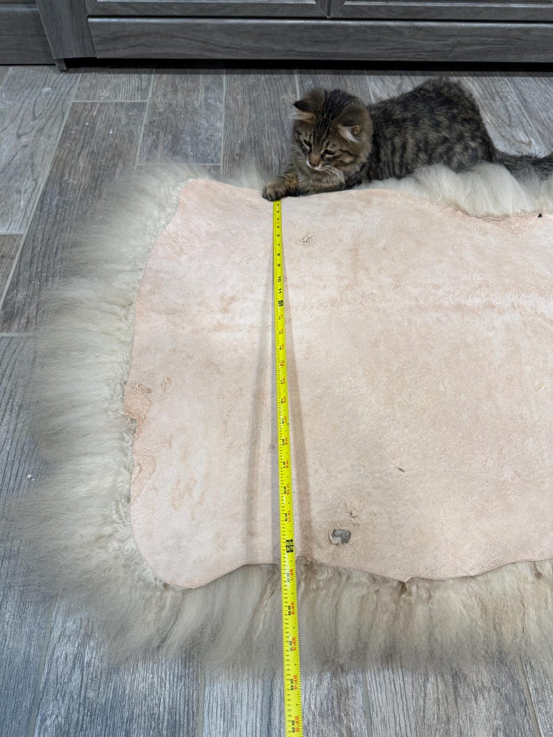 May include: A light beige sheepskin rug with a fluffy, off-white border. A yellow measuring tape is laid across the rug. A small, tabby cat is resting on the rug.