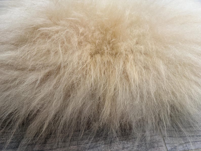 May include: Close-up of a fluffy, cream-colored rug with long, textured fibers. The rug has a dense, shaggy appearance, with strands of varying lengths creating a soft, inviting look. The neutral color and texture suggest a cozy home decor item.