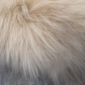 May include: Close-up of a light beige fur texture. The fur appears soft and fluffy, with long, flowing strands. The color gradient shifts from a lighter beige to a darker grey at the bottom, creating a subtle contrast.