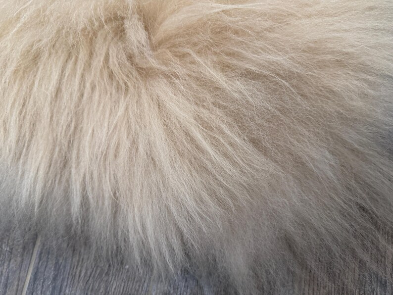 May include: Close-up of a light beige fur texture. The fur appears soft and fluffy, with long, flowing strands. The color gradient shifts from a lighter beige to a darker grey at the bottom, creating a subtle contrast.