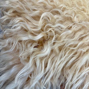 May include: Close-up of a cream-colored, shaggy fur textile. The fur has a wavy texture with long, flowing strands. The color is a warm, off-white, with variations in tone. The overall appearance is soft and luxurious, suggesting a cozy, natural material.