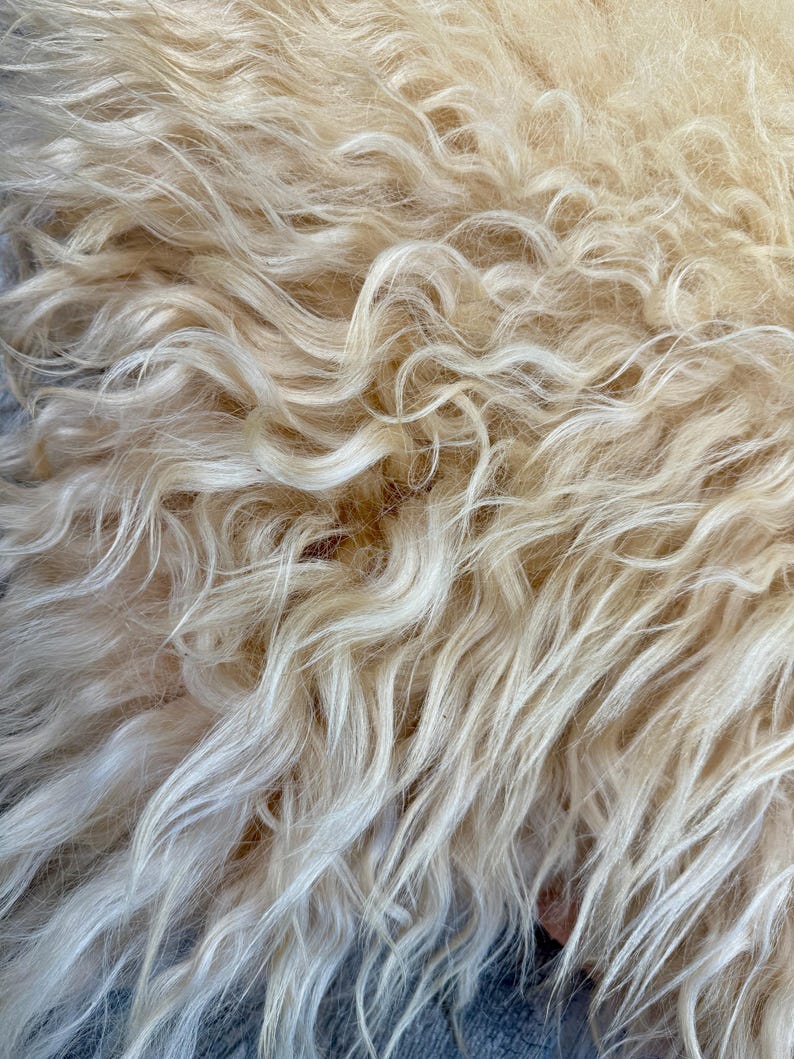 May include: Close-up of a cream-colored, shaggy fur textile. The fur has a wavy texture with long, flowing strands. The color is a warm, off-white, with variations in tone. The overall appearance is soft and luxurious, suggesting a cozy, natural material.