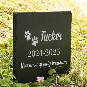 Gepersonaliseerde granieten gedenksteen voor huisdieren: gegraveerde grafmarkering hond en kat