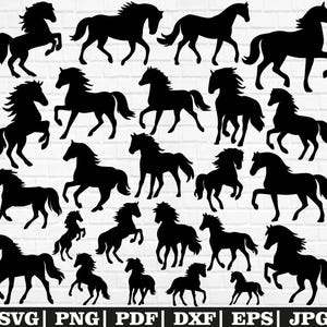 Horse Svg Bundle, Horse Clipart, Horse Cut Files For Circut, Running Horse Svg, Horse Silhouette, Horse Svg, Horse Png, Running Horse Png