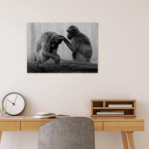 Könnte beinhalten: Schwarz-Weiß-Fotografie von zwei Affen, die sich gegenseitig pflegen, während sie auf einem Baumstamm sitzen. Die Affen sind mit Fell bedeckt und befinden sich in einer natürlichen Umgebung.